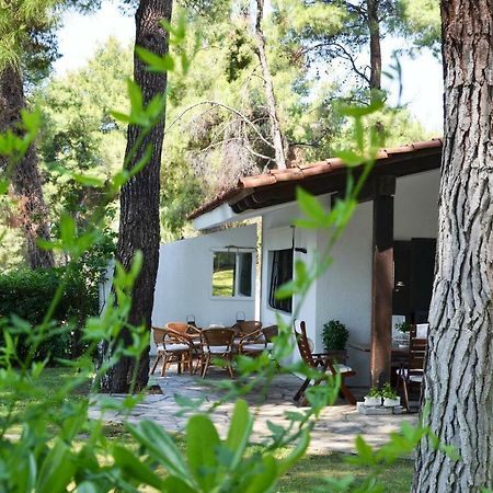 Villa Irini In Sani Sani  Exteriér fotografie