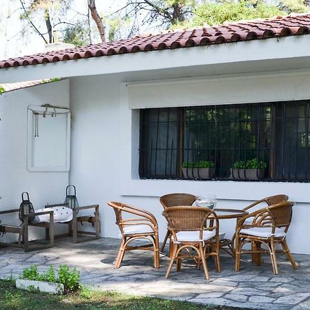 Villa Irini In Sani Sani  Exteriér fotografie