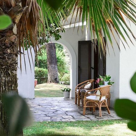 Villa Irini In Sani Sani  Exteriér fotografie