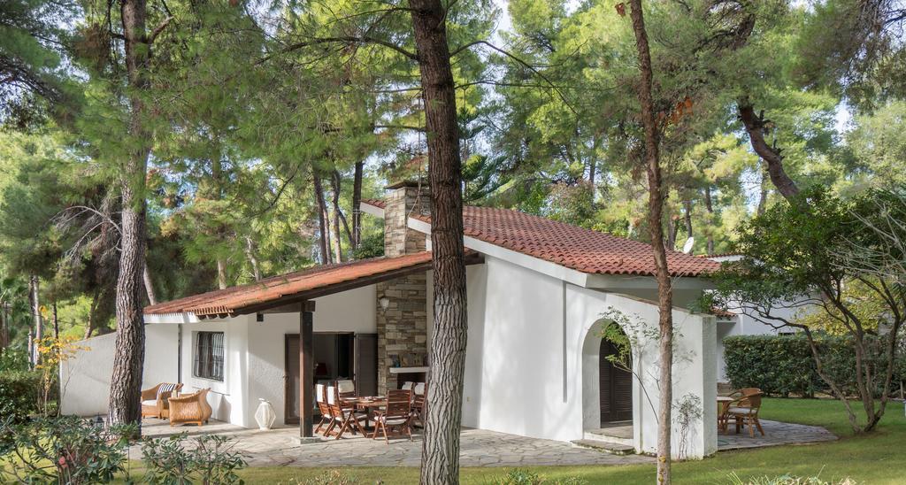 Villa Irini In Sani Sani  Exteriér fotografie