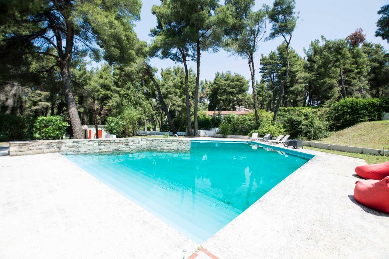 Villa Irini In Sani Sani  Exteriér fotografie