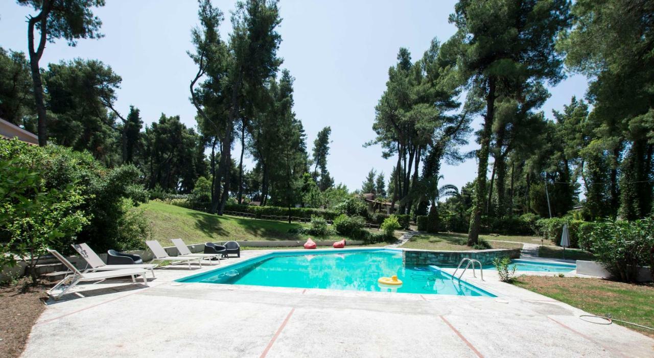 Villa Irini In Sani Sani  Exteriér fotografie