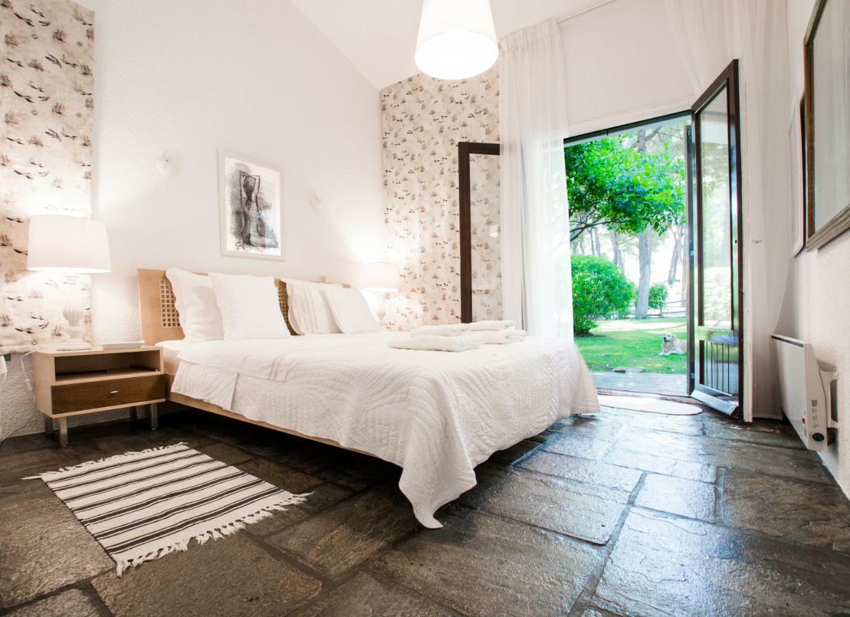 Villa Irini In Sani Sani  Exteriér fotografie