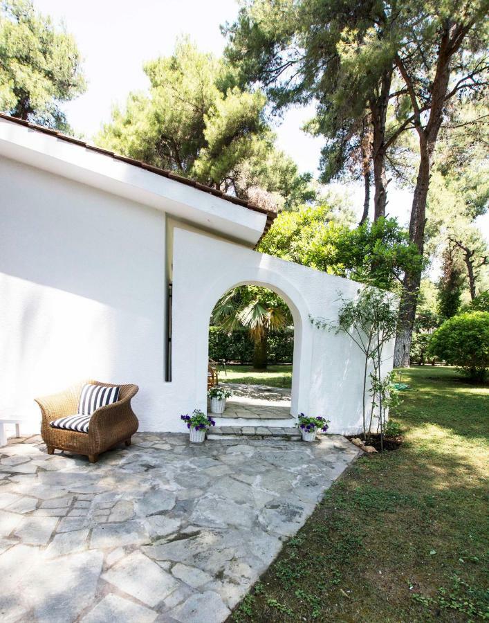 Villa Irini In Sani Sani  Exteriér fotografie