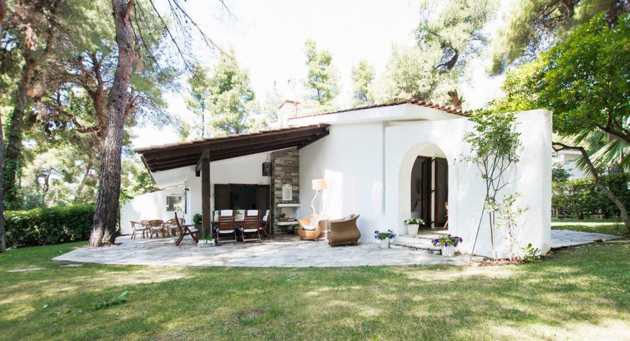 Villa Irini In Sani Sani  Exteriér fotografie