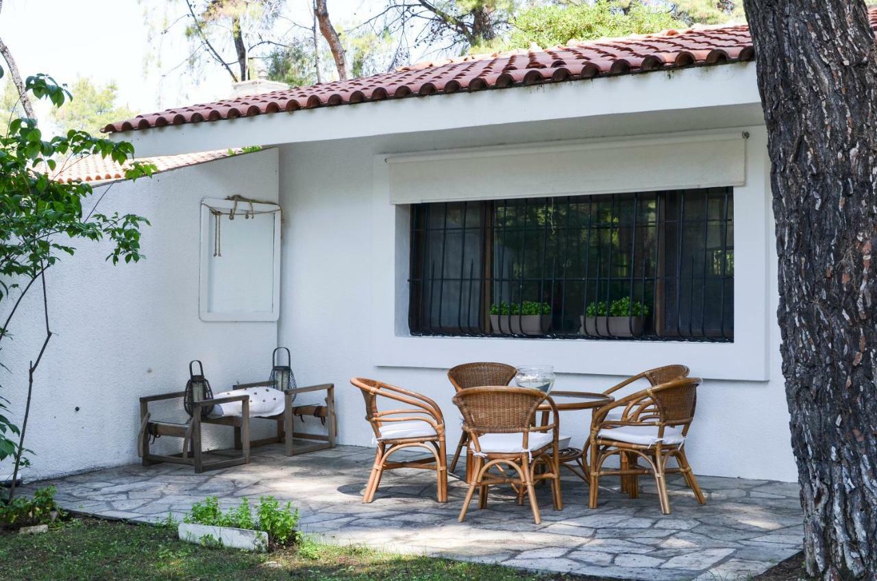 Villa Irini In Sani Sani  Exteriér fotografie