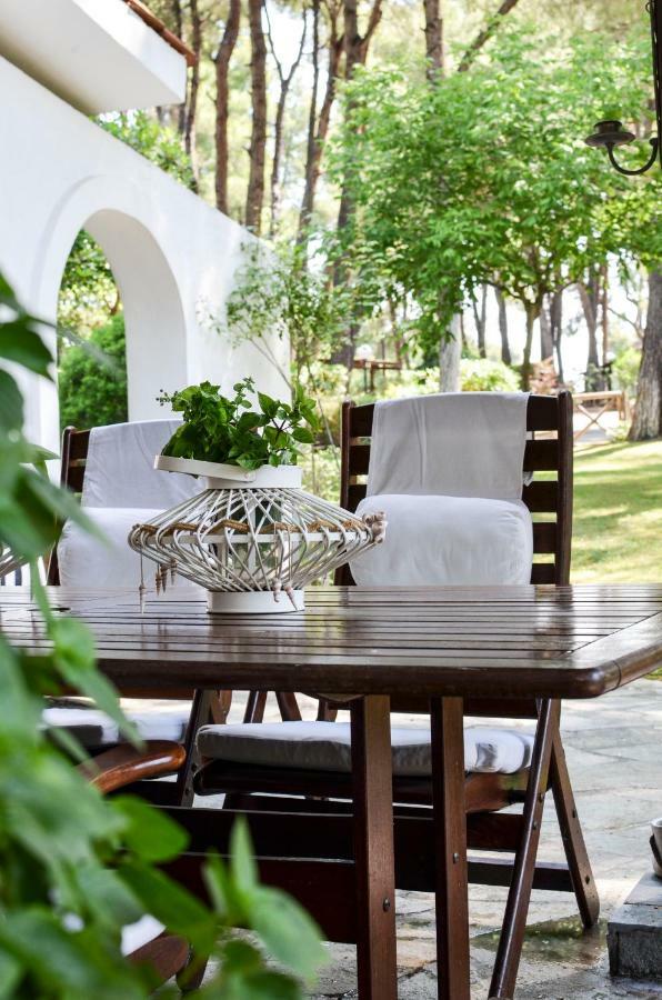 Villa Irini In Sani Sani  Exteriér fotografie