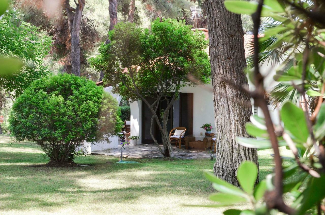 Villa Irini In Sani Sani  Exteriér fotografie