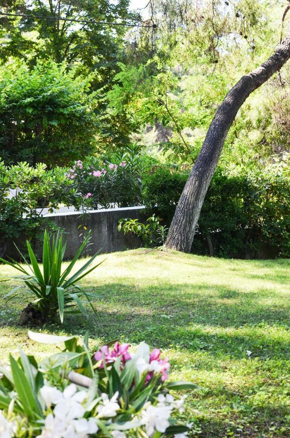 Villa Irini In Sani Sani  Exteriér fotografie