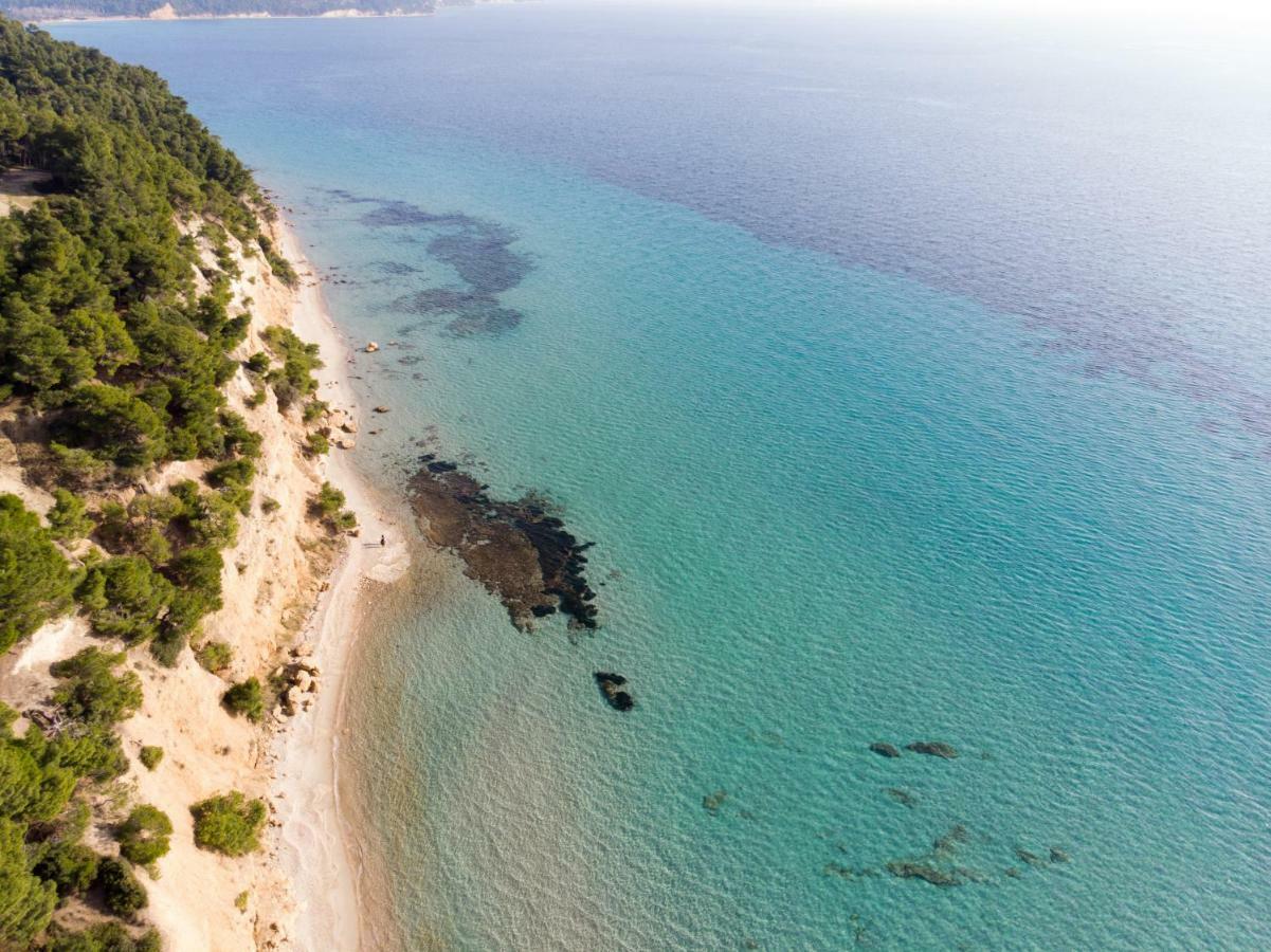 Villa Irini In Sani Sani  Exteriér fotografie